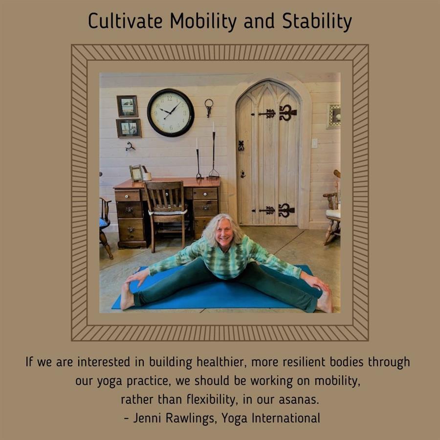 Mobility and Stability